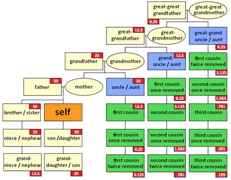 3rd degree cousin|Cousin Chart: Cousins, Second Cousins, and More.